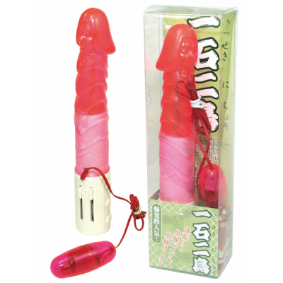 ��Γ񒹁i�o�C�u�i�d���������j�j