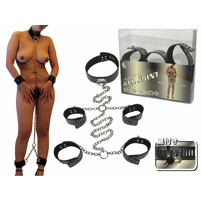 �I�[���E�W���C���g�i�r�l�O�b�Y�E�S����j