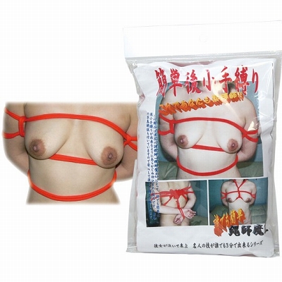 �ȒP��돬�蔛��@�i�ԁj�i�r�l�O�b�Y�E�S����j