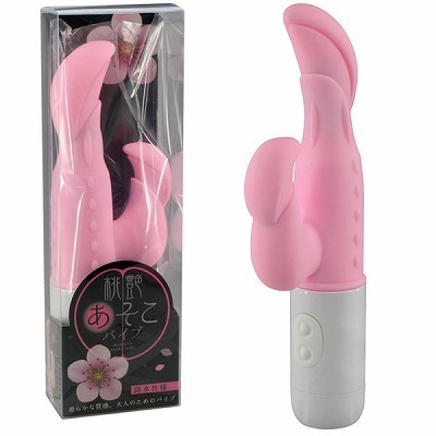 �����������o�C�u�i�o�C�u�i�d���������j�j