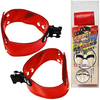 �J�`�b�ƍS�����́@�������l���@�i���b�h�j�i�r�l�O�b�Y�E�S����j