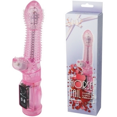 �z�[�X�e�C���i�o�C�u�i�d���������j�j