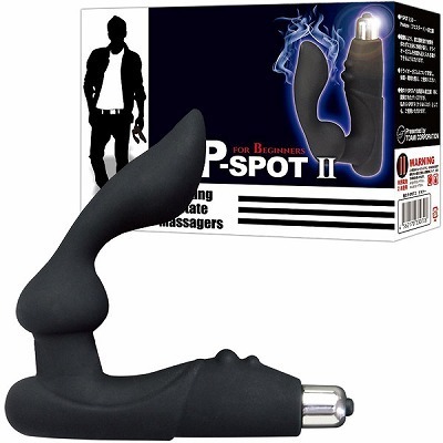 ���̂o�|�r�o�n�s�@�i�Q�j�@�r�M�i�[�i�A�i���j