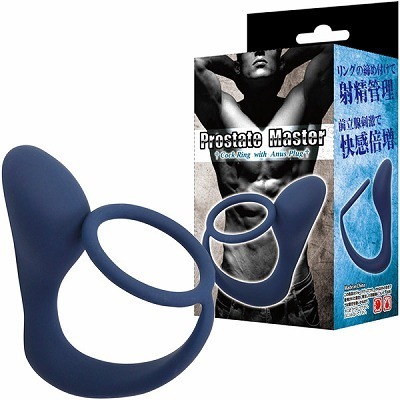 �v���X�e�[�g�}�X�^�[�i�A�i���j