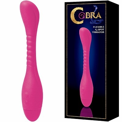 �R�u���i�o�C�u�i�d���������j�j