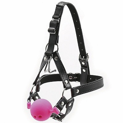 ���r�l�@�u�h�o���@�t�b�N�{�[���M���O�n�[�l�X�@�i�s���N�j�i�r�l�O�b�Y�E�S����j