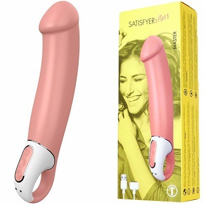 �r�����������������@���������i�T�e�B�X�t�@�C���@�o�C�u�j�@�}�X�^�[�i�o�C�u�i�d���������j�j