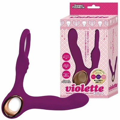 �����������������@���B�I���b�g�i�o�C�u�i�d���������j�j