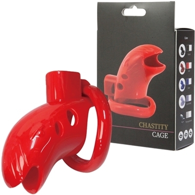 �`�F�X�e�e�B�P�[�W�@�i���b�h�j�i�r�l�O�b�Y�E�S����j