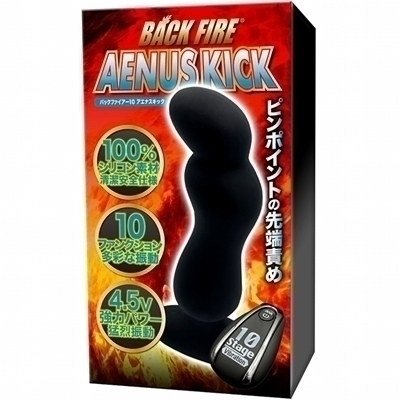 �o�b�N�t�@�C�A�[�P�O�@�A�G�i�X�L�b�N�i�A�i���j