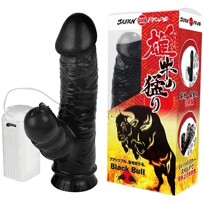 �Y���̖҂�i�������̂�����j�i�o�C�u�i�d���������j�j