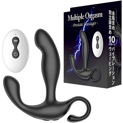 �l���������������@�n�����������i�}���`�v���I�[�K�Y���j�i�A�i���j