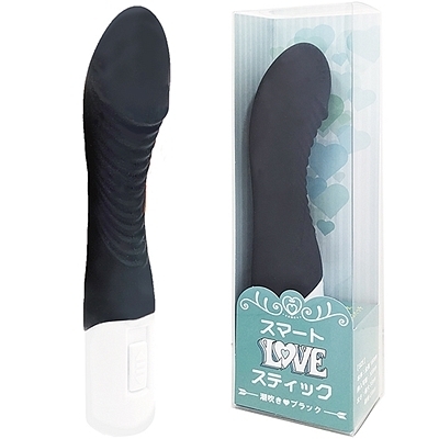 �X�}�[�g�k�n�u�d�X�e�B�b�N�@�i�������u���b�N�j�i�o�C�u�i�d���������j�j