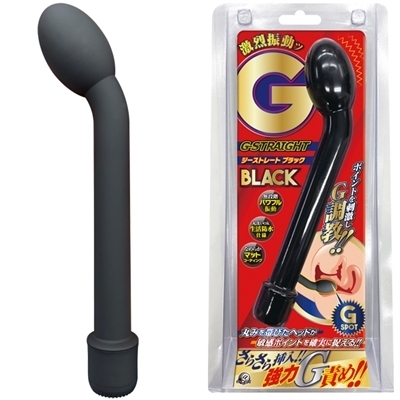 �f�X�g���[�g�@�i�u���b�N�j�i�o�C�u�i�d���������j�j