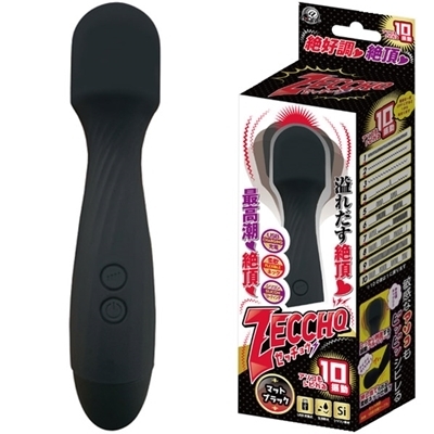 �[�b�`���E�@�i�}�b�g�u���b�N�j�i�o�C�u�i�d���������j�j