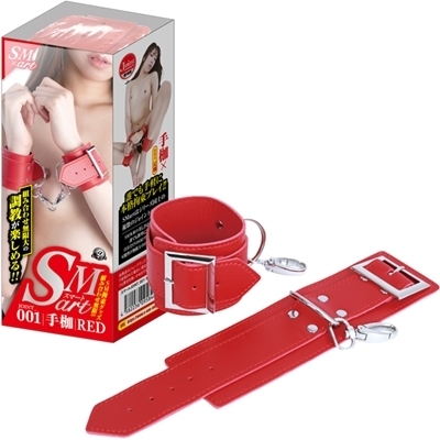 �r�l�������i�X�}�[�g�j�@�P�@�ԁi�r�l�O�b�Y�E�S����j