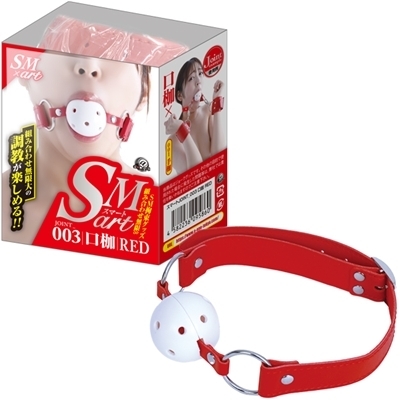 �r�l�������i�X�}�[�g�j�@�R�@�ԁi�r�l�O�b�Y�E�S����j