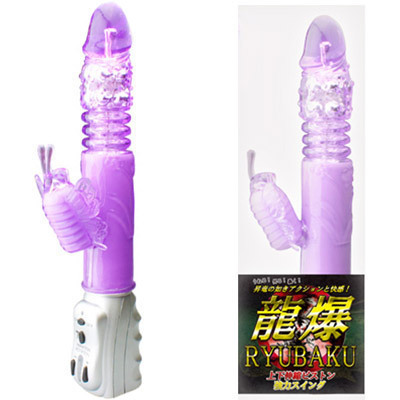 �����i�o�C�u�i�d���������j�j