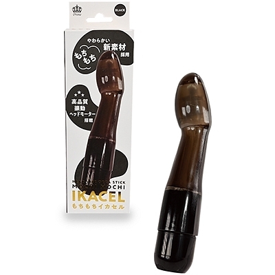 ���������h�j�`�b�d�k�@�i�u���b�N�j�i�o�C�u�i�d���������j�j