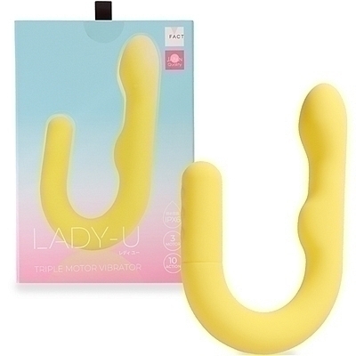 �k�������@�t�@�i�C�G���[�j�i�o�C�u�i�d���������j�j