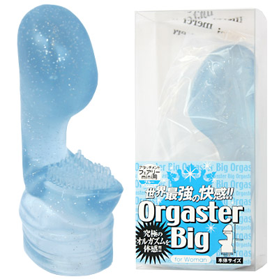 �t�F�A���[�~�j�p�@�n���������������a�����i�I���K�X�^�[�r�b�O�j�@�u���[�i�o�C�u�i�d���������j�j