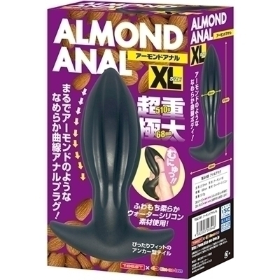 �A�[�����h�A�i���@�i�w�k�j�i�A�i���j