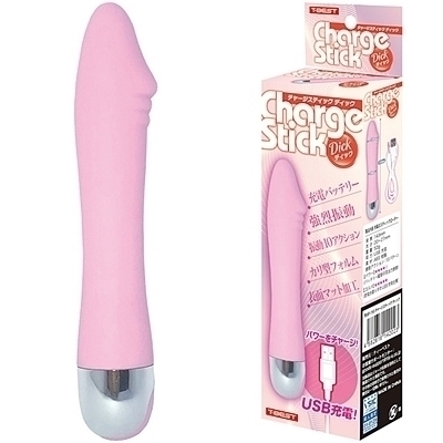 �`���[�W�X�e�B�b�N�@�i�f�B�b�N�j�i�o�C�u�i�d���������j�j