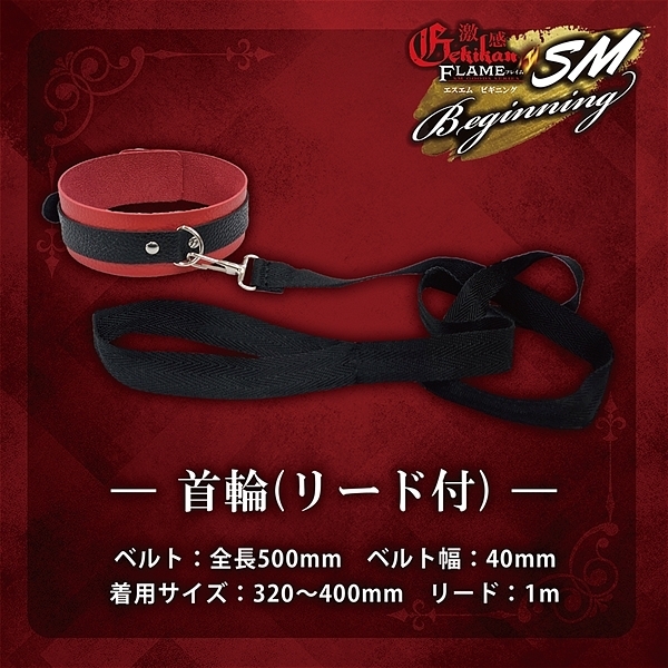 �����t���C���@�i�r�l�r�M�j���O�j