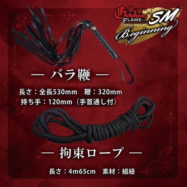 �����t���C���@�i�r�l�r�M�j���O�j